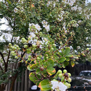 Meet your Posher, Keyla